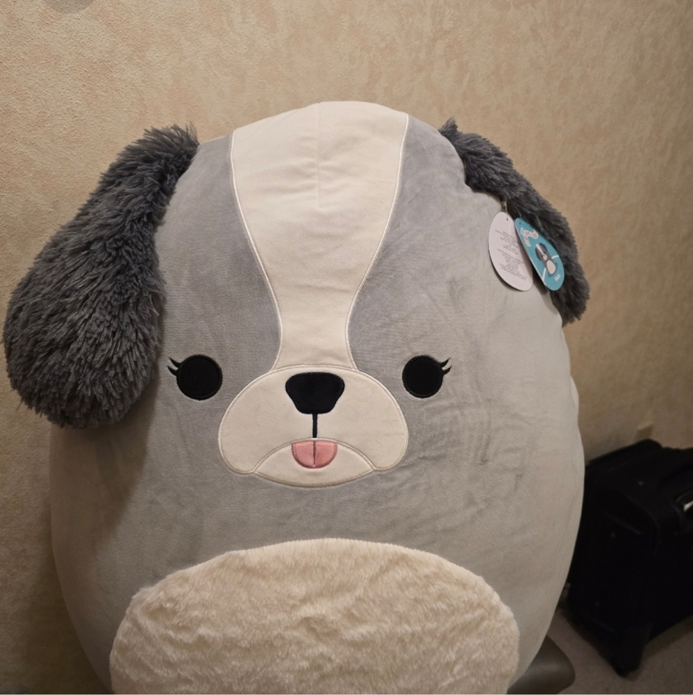 Squishmallow 24 inch, giant shih tzu, dog, nwt - Picture 6 of 10
